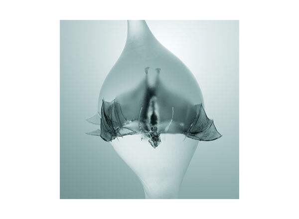 Unprocessed announce new album ‘Angel’ and release single.